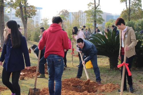 太阳网集团tcy8722