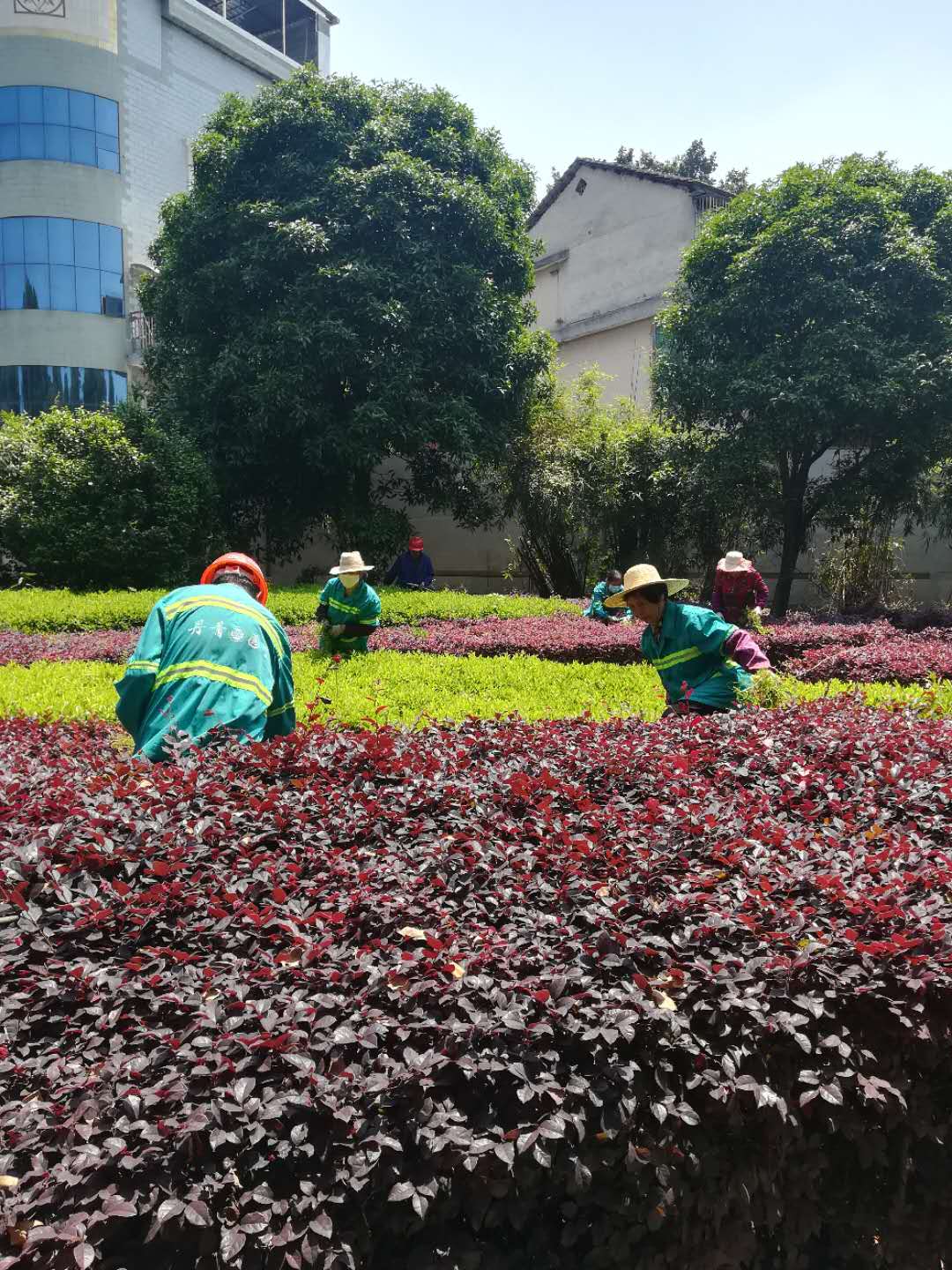 太阳网集团tcy8722