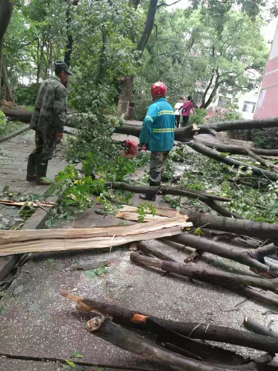 太阳网集团tcy8722