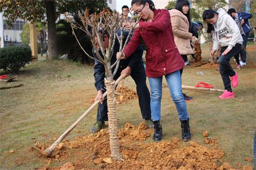 太阳网集团tcy8722