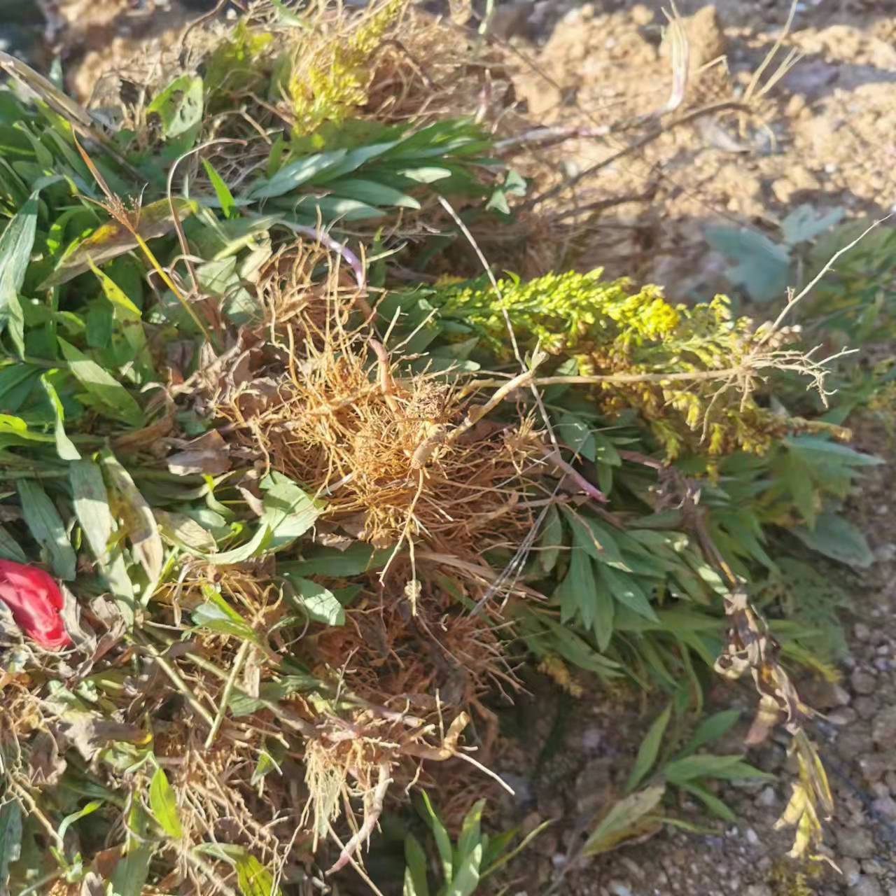 太阳网集团tcy8722