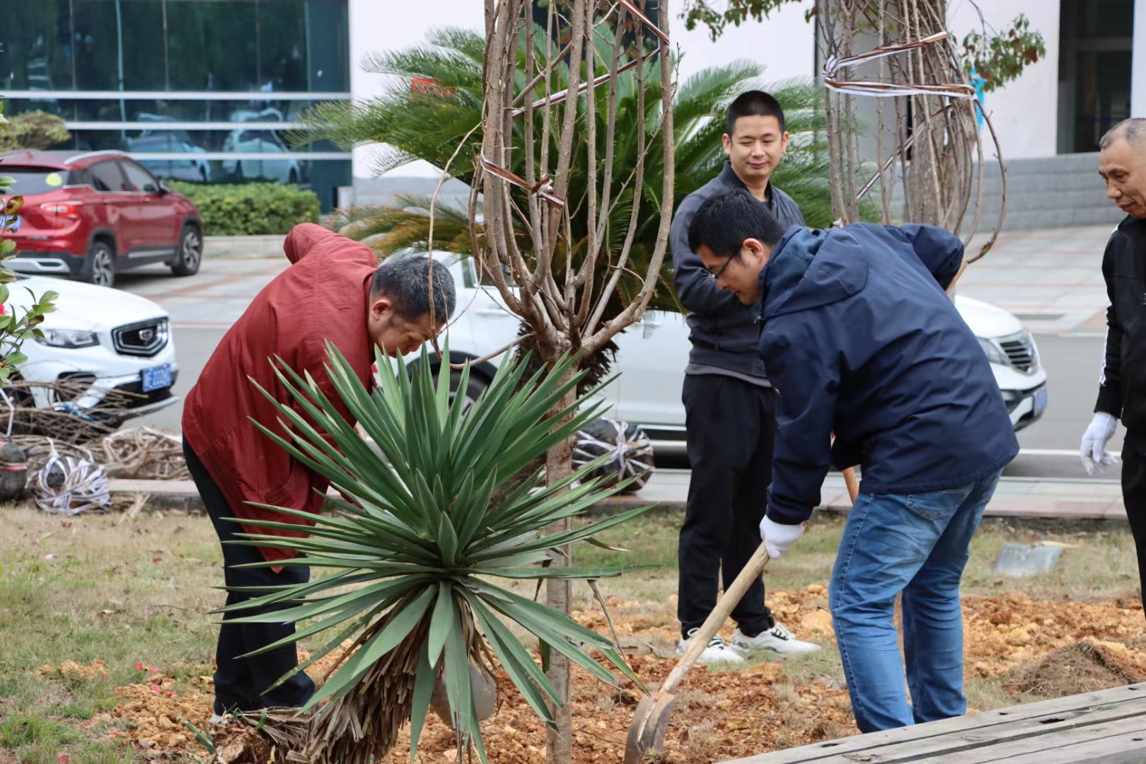 太阳网集团tcy8722