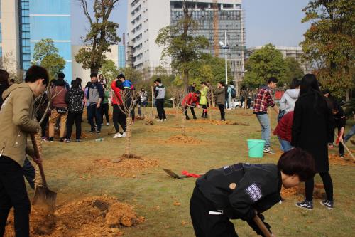 太阳网集团tcy8722