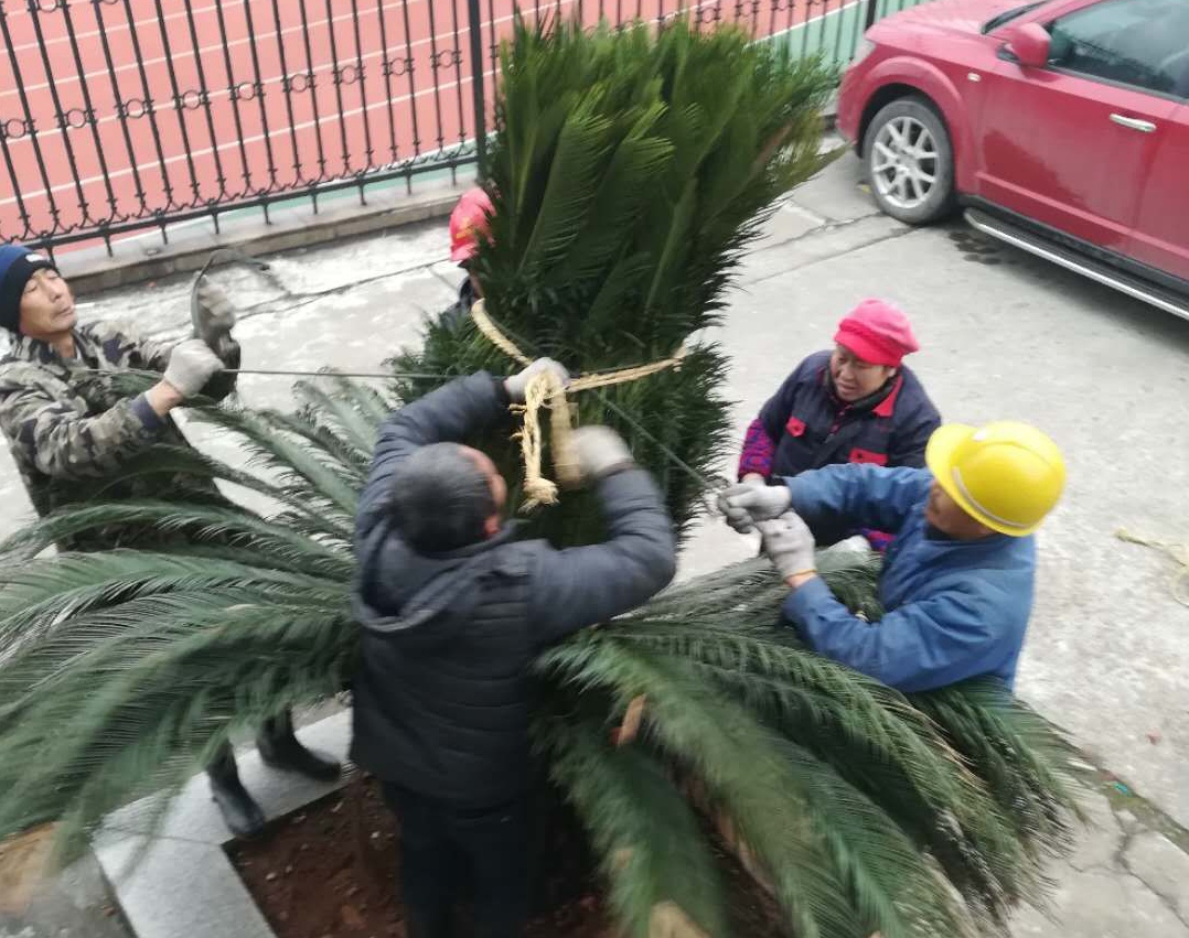 太阳网集团tcy8722