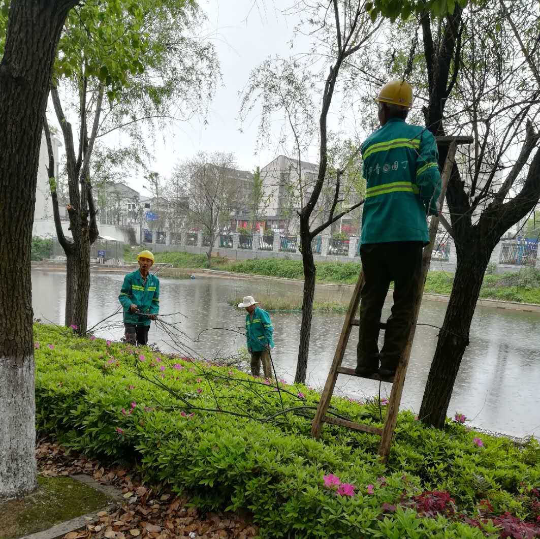 太阳网集团tcy8722