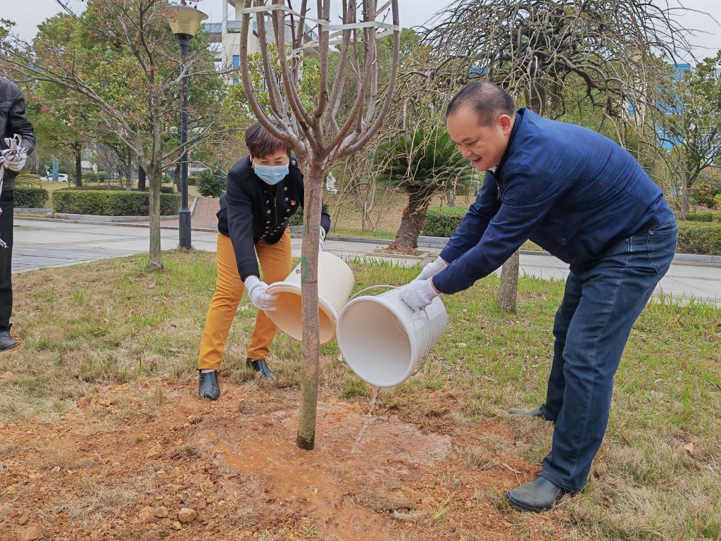 太阳网集团tcy8722
