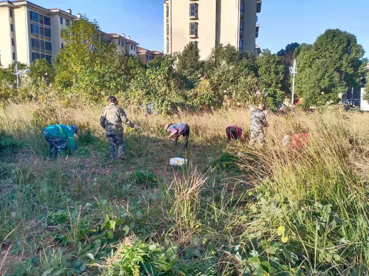 太阳网集团tcy8722