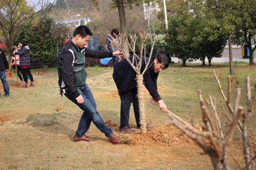 太阳网集团tcy8722