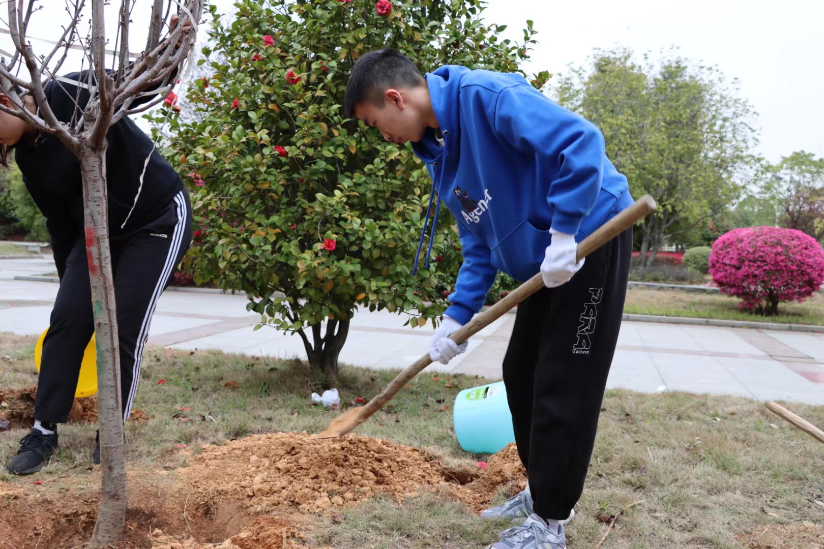 太阳网集团tcy8722