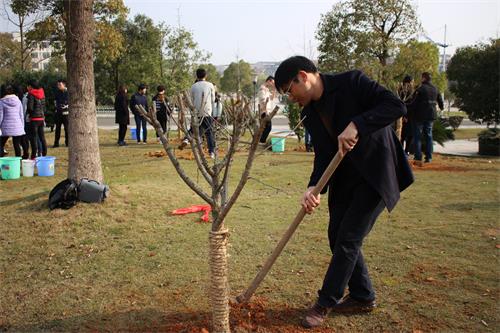 太阳网集团tcy8722