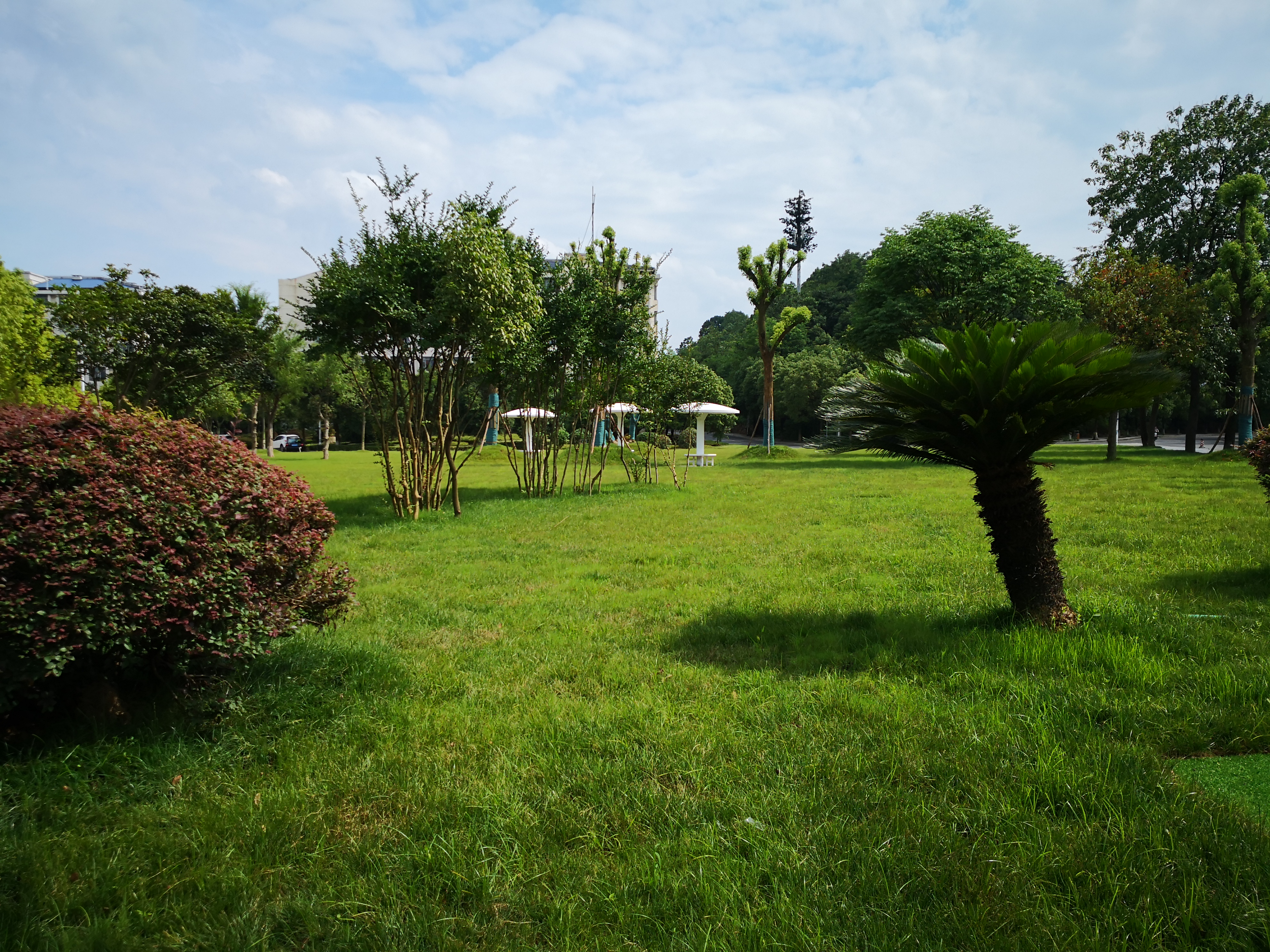 太阳网集团tcy8722